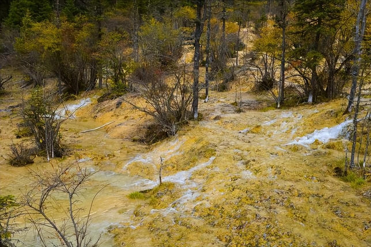 卡龙沟景区有什么好玩的,卡龙沟穿越松潘