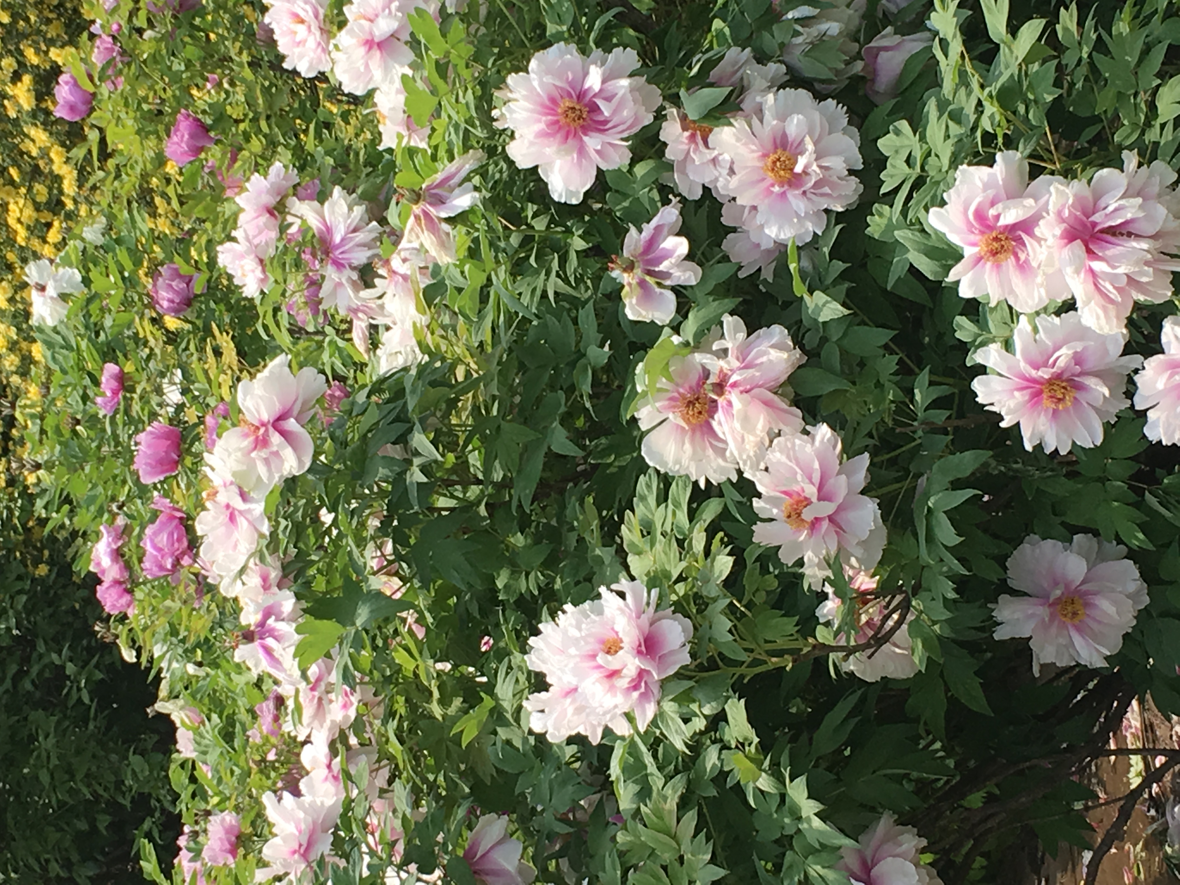 济南十大最好的中专职业院校,湖南十大最好的职业技术学院