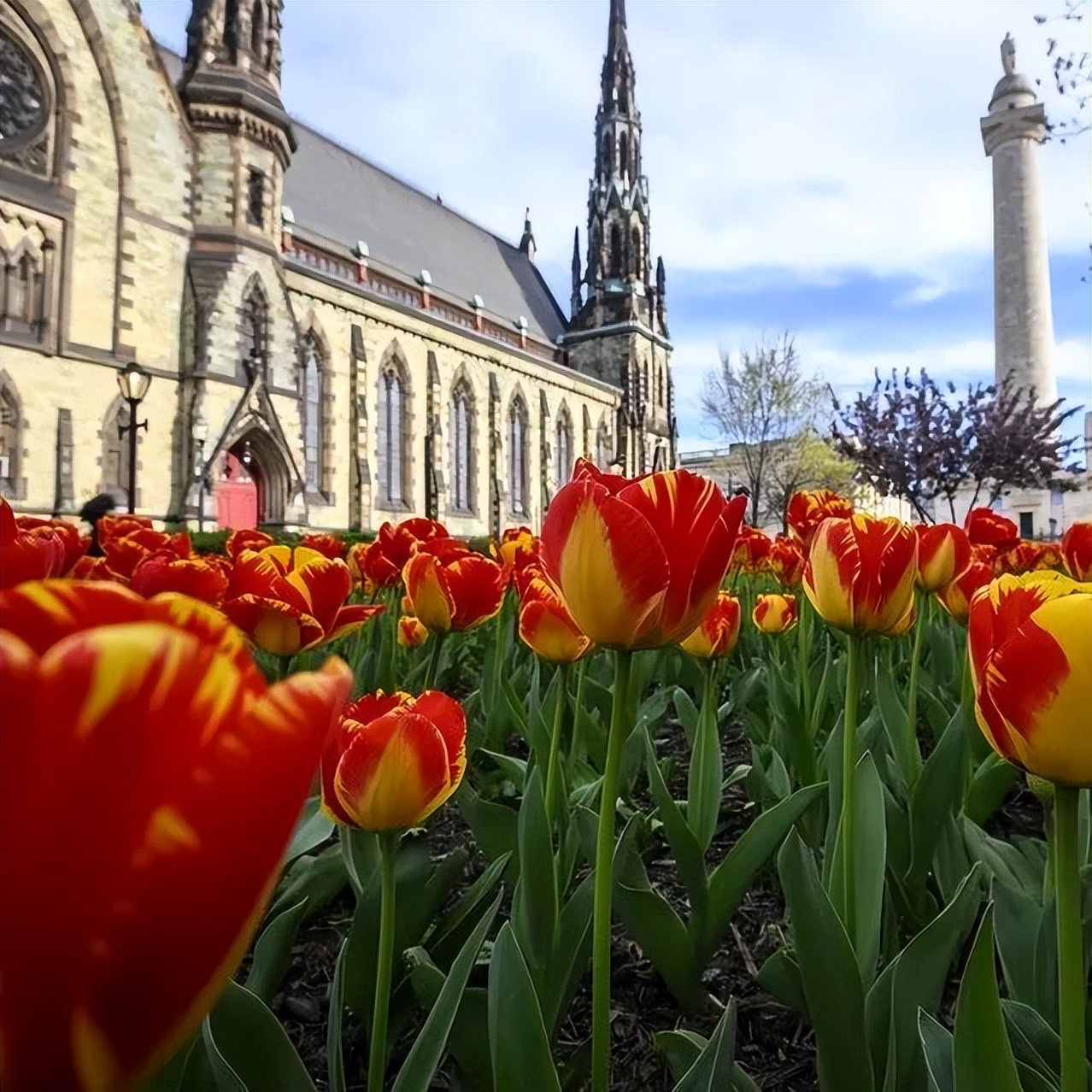 全美学习最刻苦的20所高校,美国最牛十大名校大学