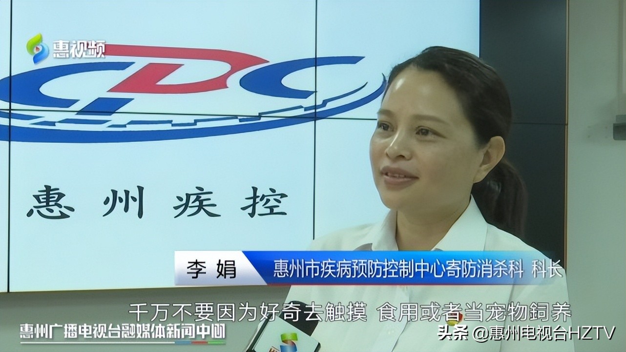 非洲大蜗牛出没雨后要小心