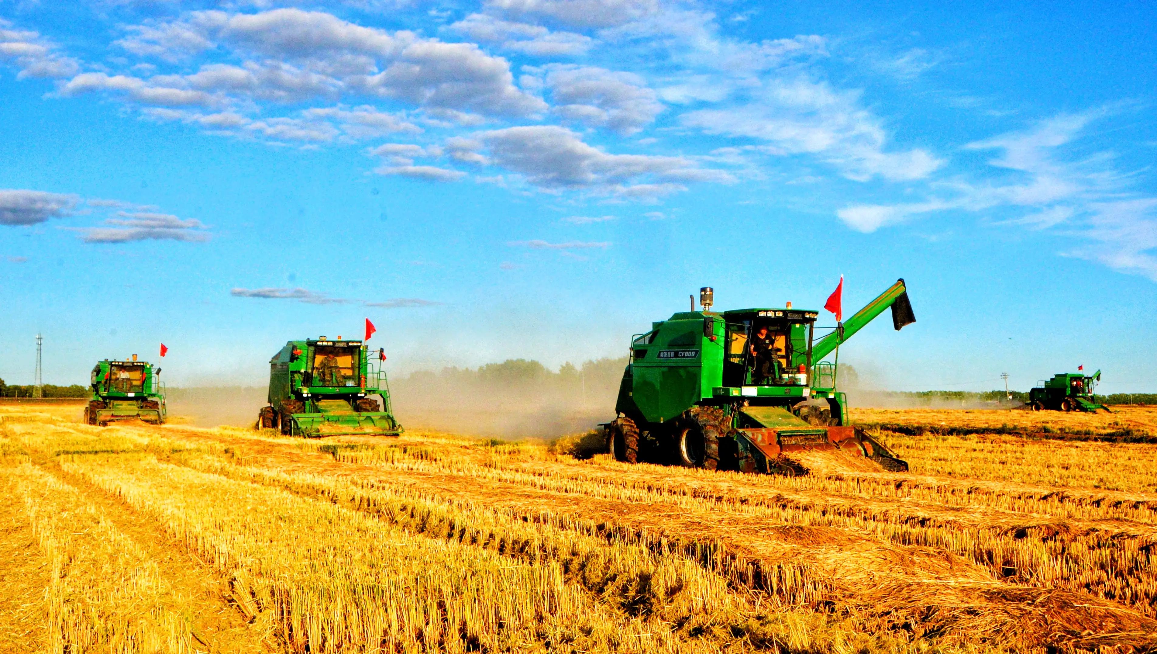 军营歌曲教学,军营训练歌曲大全