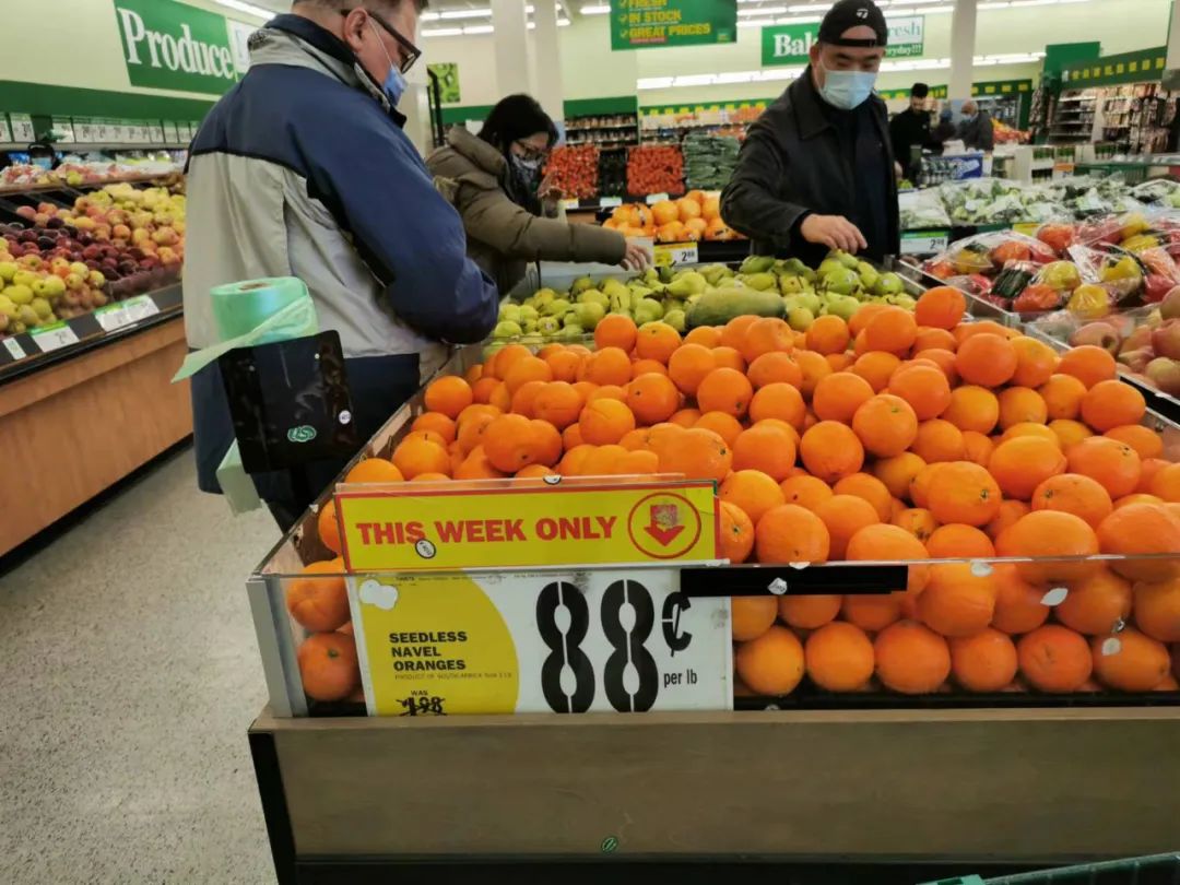 移民多伦多需要什么,移民多伦多做什么