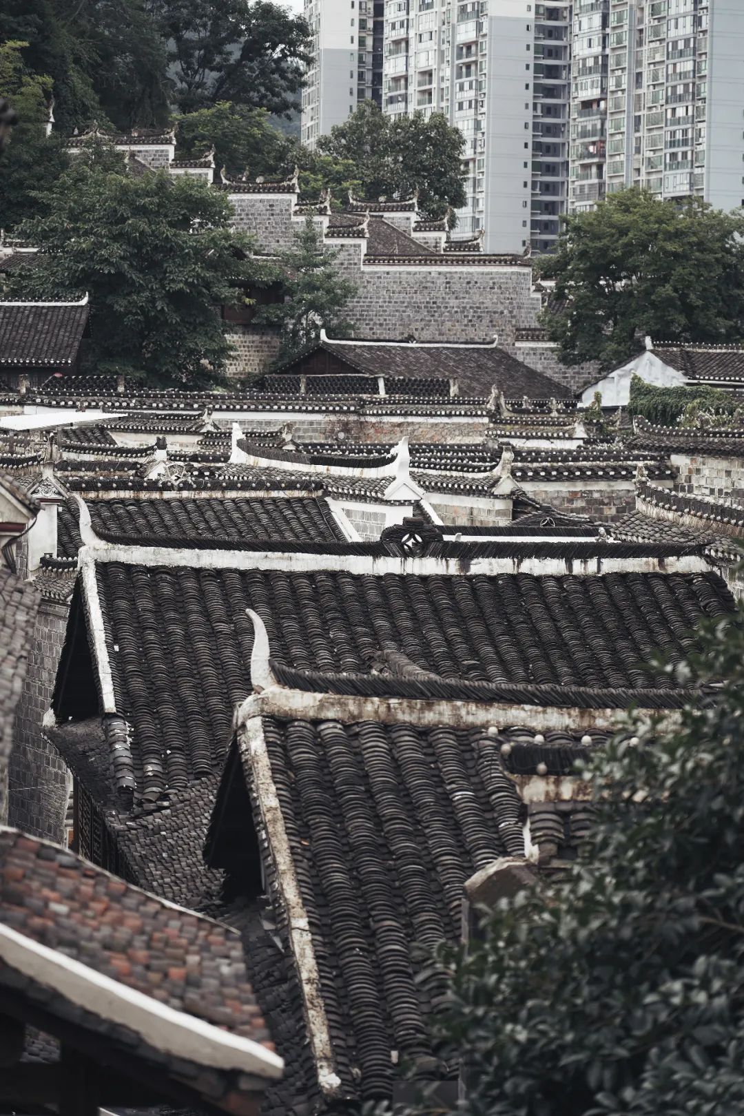 除了梵净山还能玩什么游戏,铜仁除了梵净山还有什么旅游景点