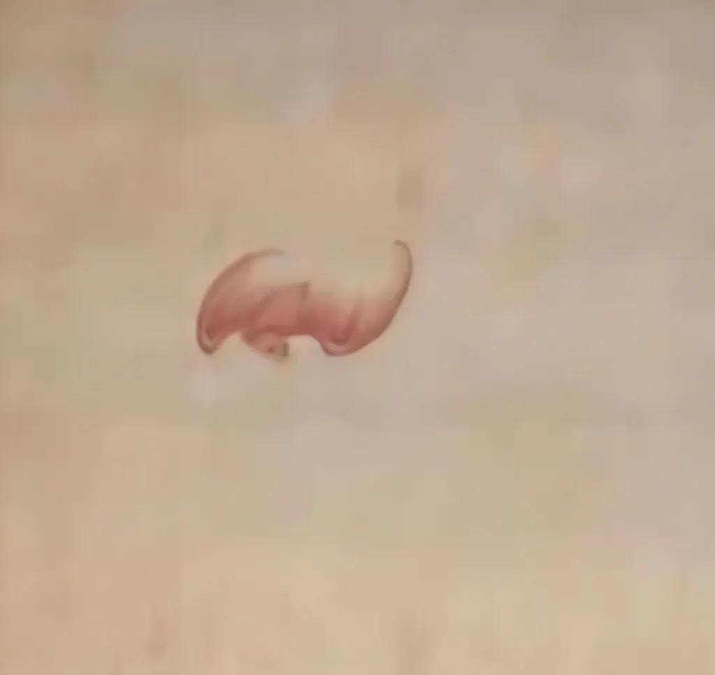 清冷枚仕女图绢本,清冷枚简介