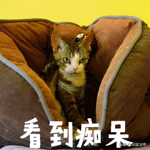 初学法学的人应该看什么书,法学必看的书