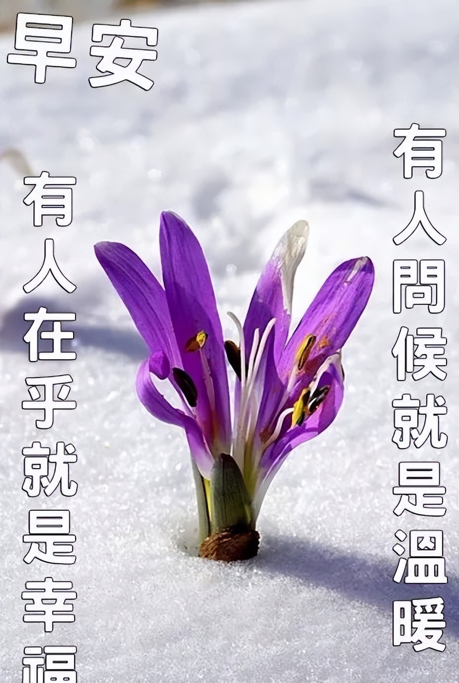 周日最新有创意的早上好问候图片,最新创意好看的早上好问候图片