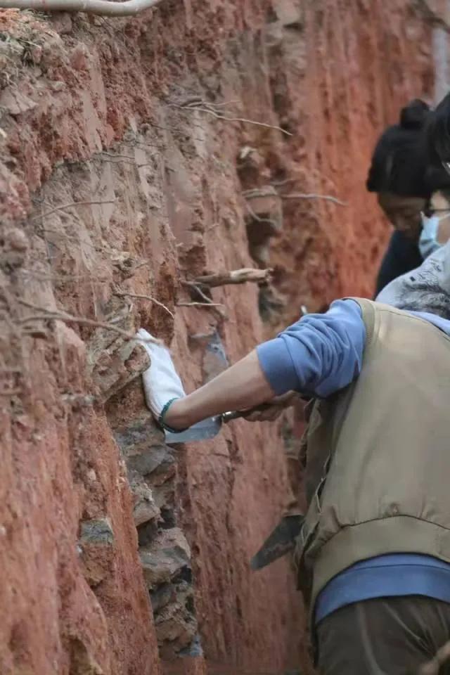 洛阳铲发现殷墟,洛阳市考古发现