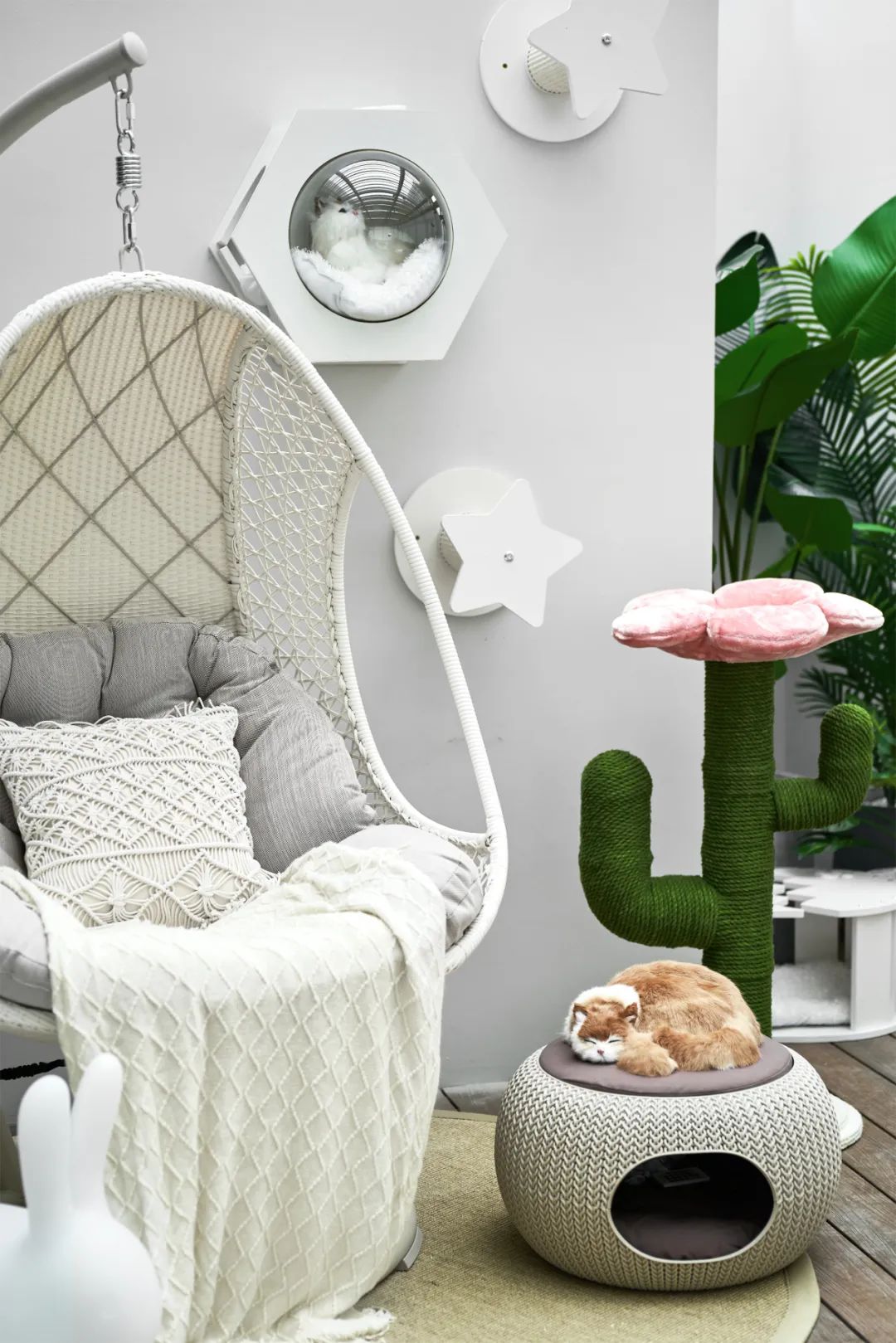 本则设计|兮觅真境，尘世之美