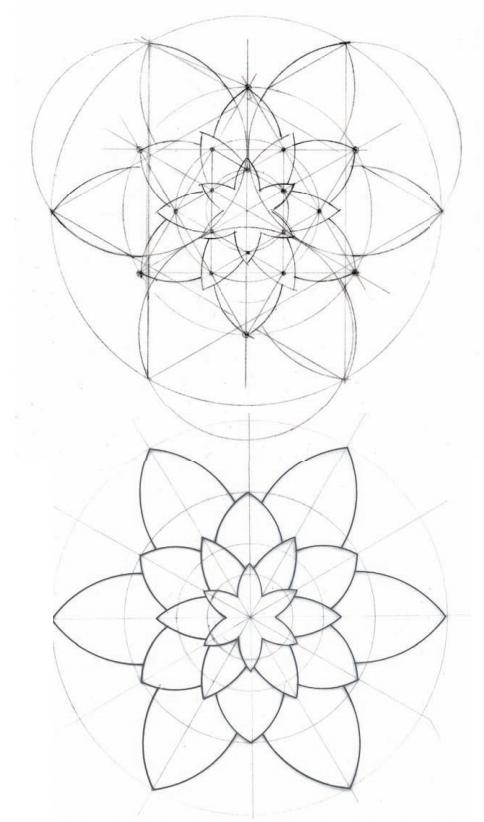 几何之花2：圆的内部分裂