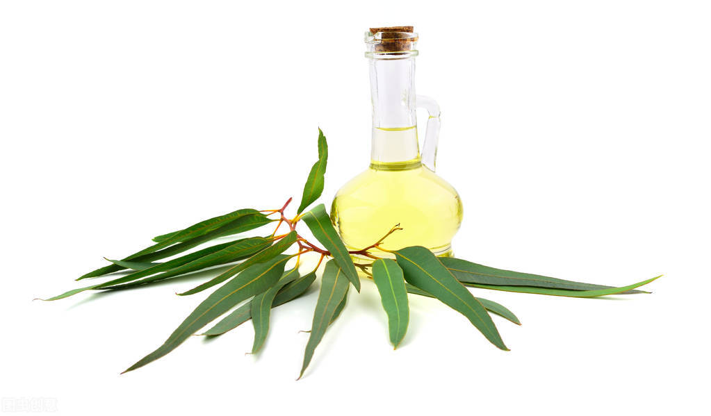 秋风凉|换季易感冒，这3种精油你值得拥有