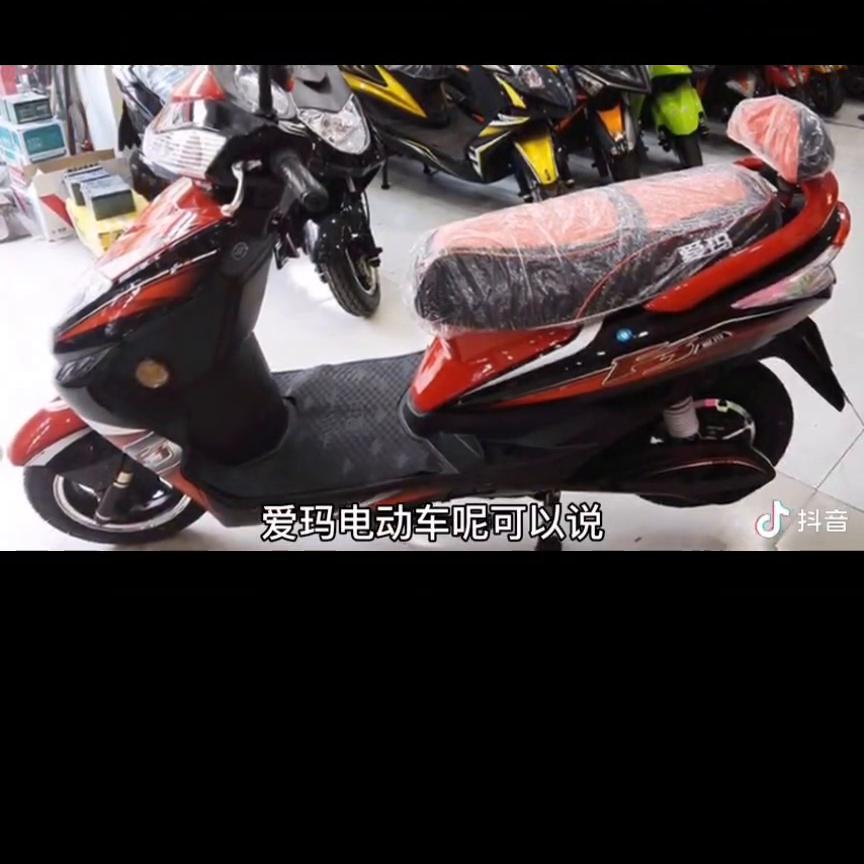 电动车品牌排行榜2015前十名,电动车铅酸电池品牌排行榜前十名