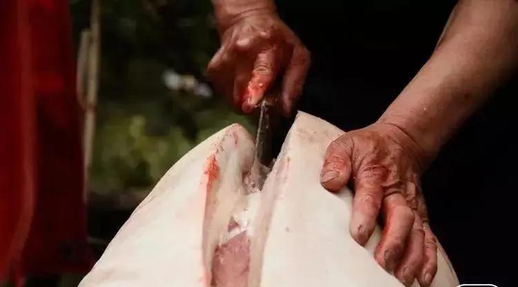 日本首相岸信介遇刺,安倍外公岸信介也曾遇刺