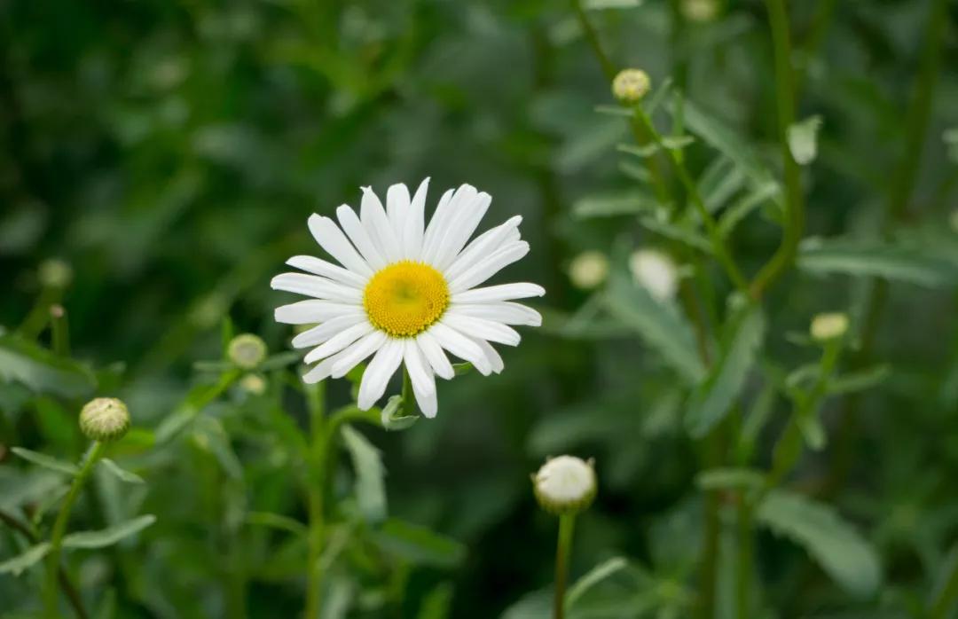 孩子偶尔打喷嚏流鼻涕怎么预防,小孩打喷嚏流鼻涕是感冒的前兆吗