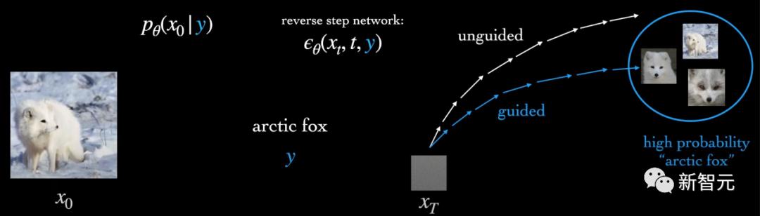 穿越到哈利波特女主角赫敏,穿越权游娶了龙妈的小说