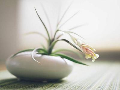 你懂吗关于真爱的正确解释,真爱本质是什么意思