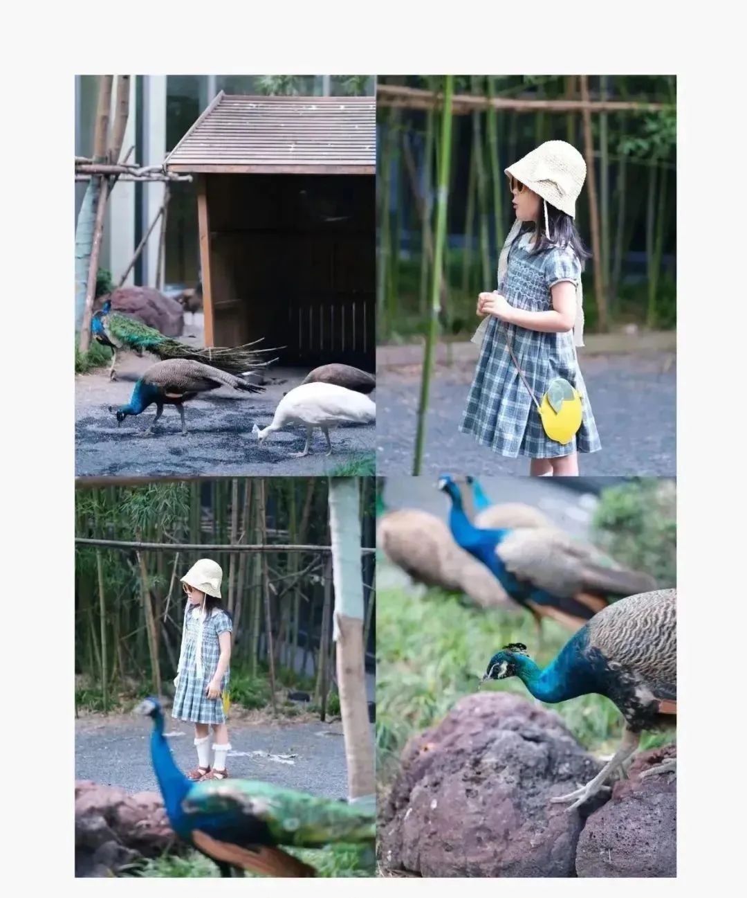 坐拥醉美海岸线，湿地环绕，还有卡丁车、攀岩……这个快乐小岛，你来过吗？