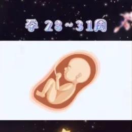 胎儿健康发育的基本知识,十秒钟带你了解胎儿发育