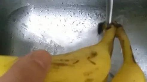 生活小妙招面包发霉了怎么办,面包没过期发霉了怎么处理