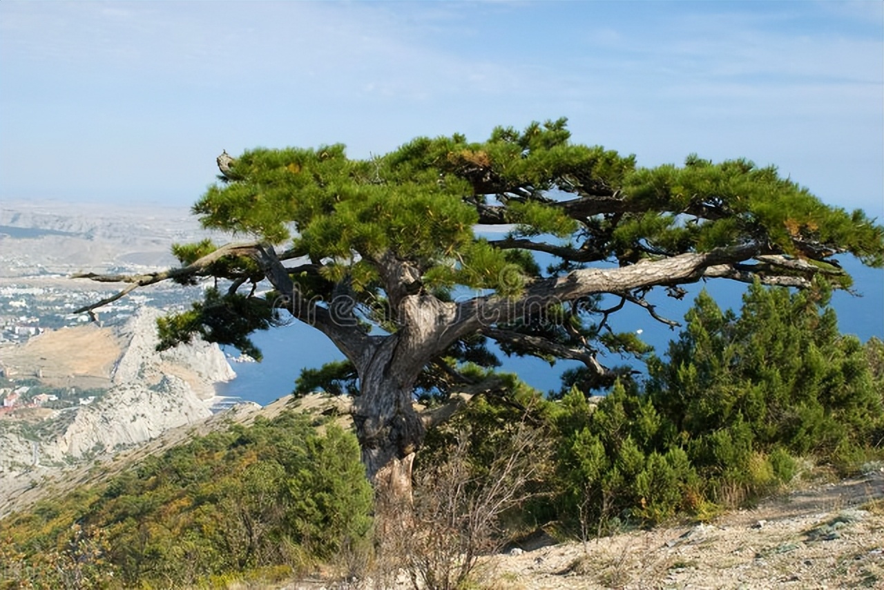 西游记里的妖魔鬼怪有多少个,西游记里的妖魔鬼怪