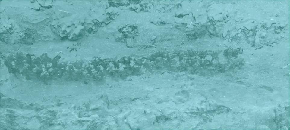 为何尘封72年?徐克发挥什么特长?美军死去士兵那瓶酒有何隐喻?