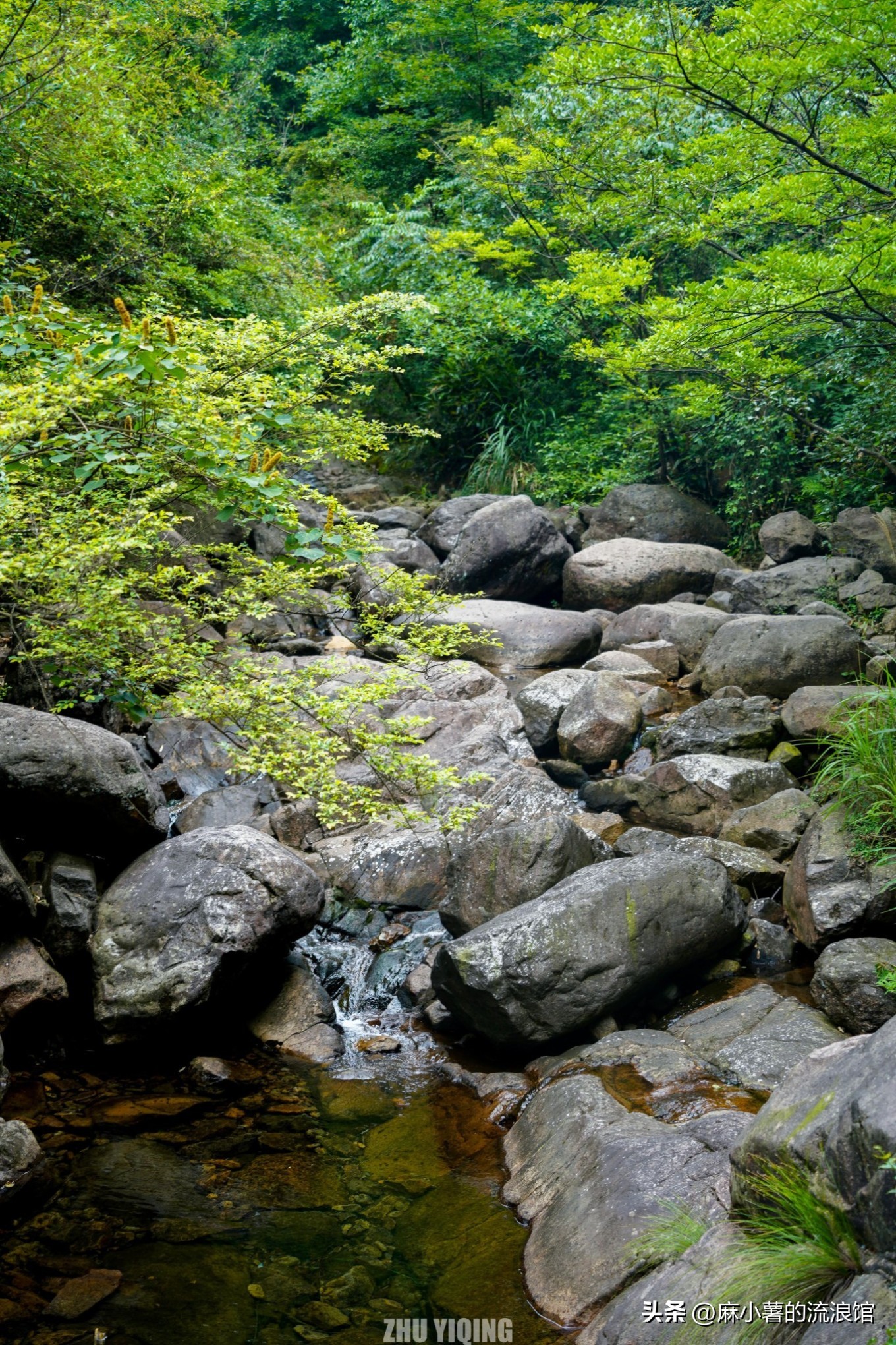 杭州桐庐大奇山二日游,杭州避暑胜地一日游