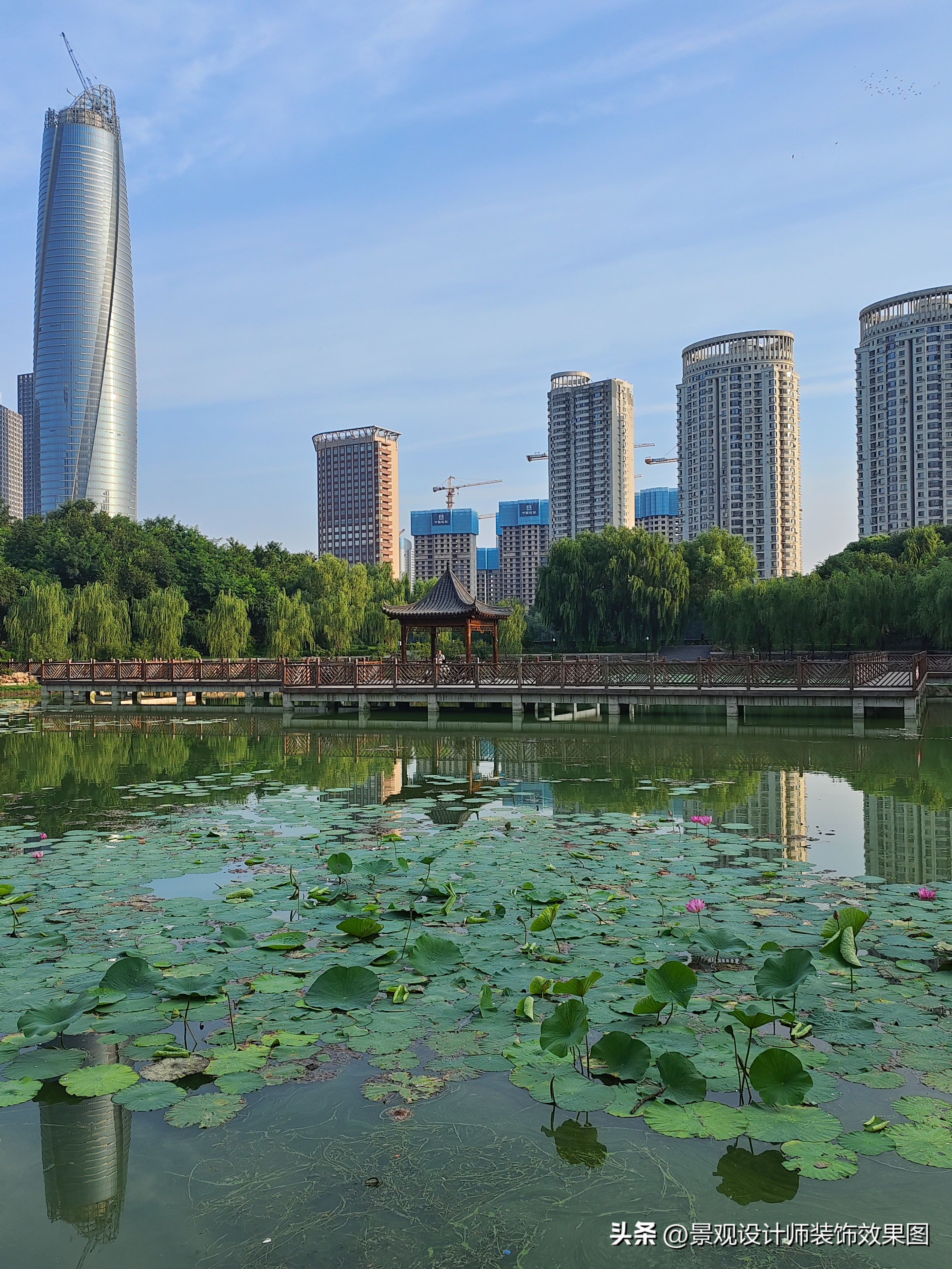 沈阳青年公园所在地,沈阳青年公园