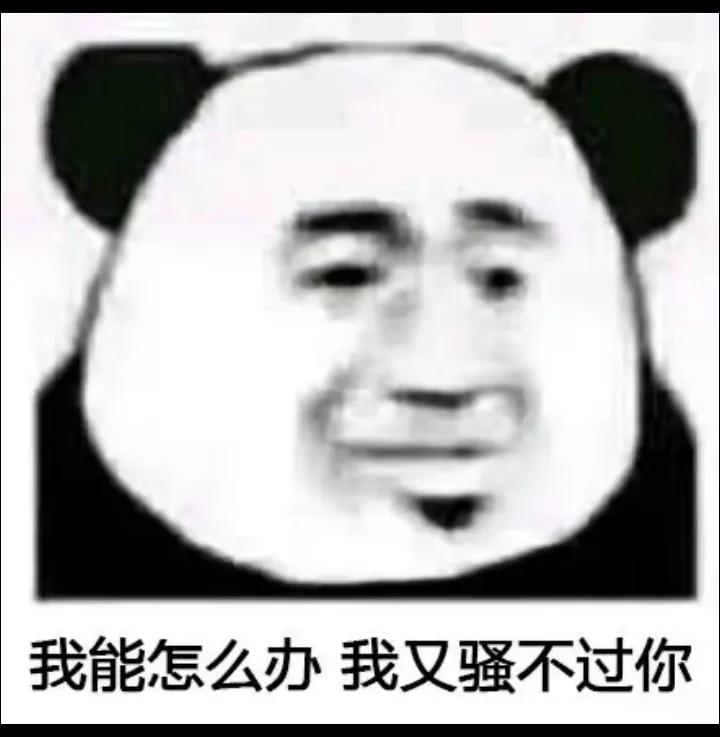 搞笑图片笑得肚子疼大全,搞笑图片