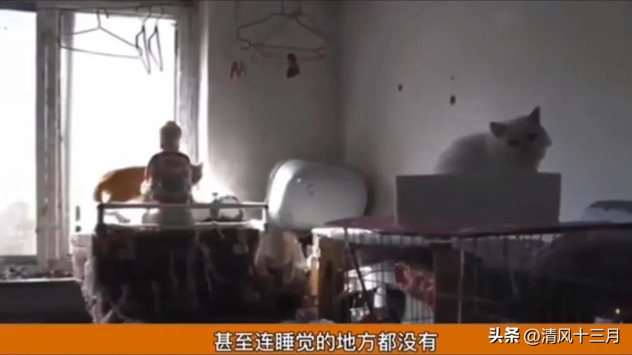 出租房租客不搬离怎么办,房屋出租他不给租金又不走怎么办