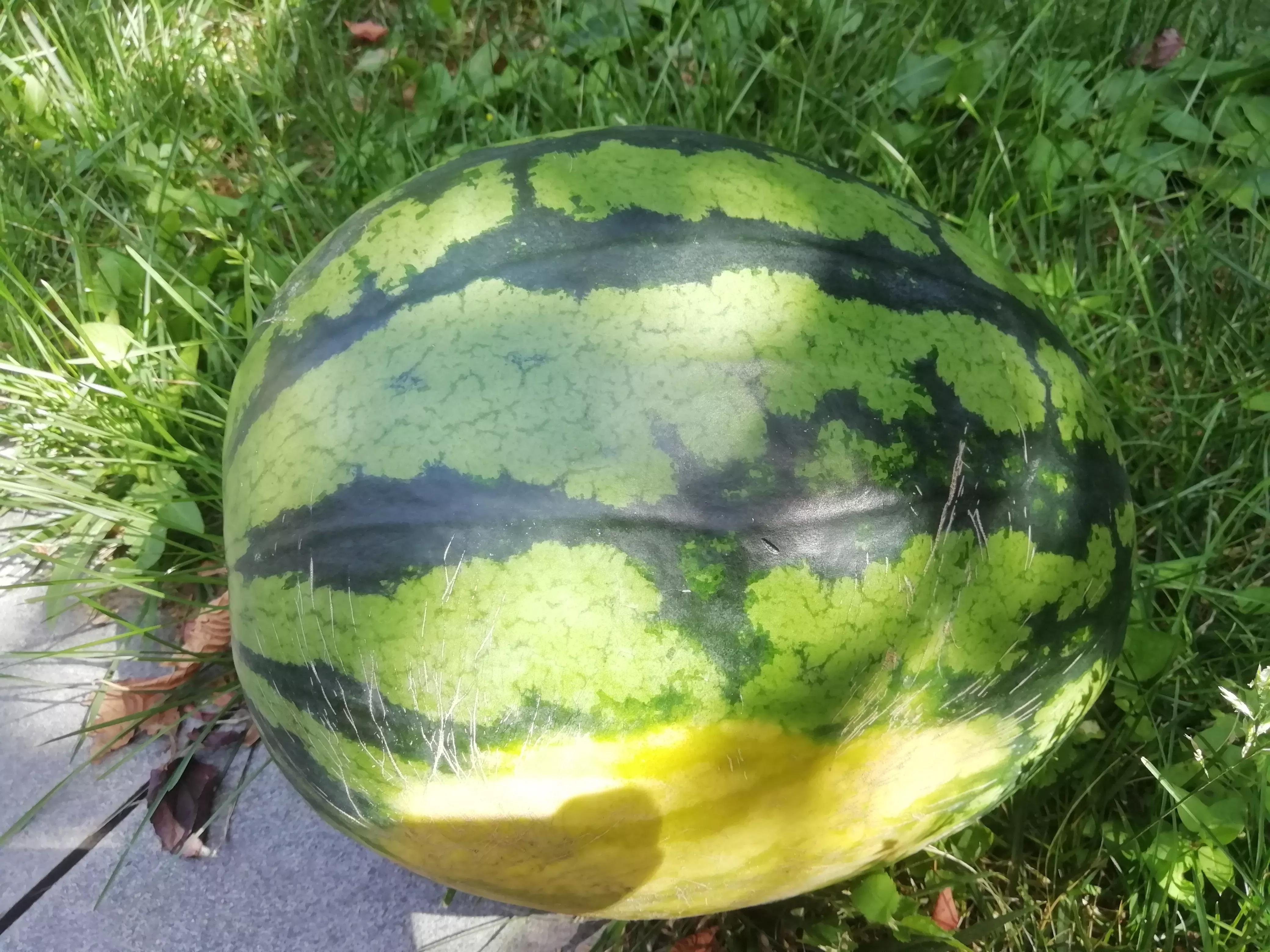 端午节收到的最好的礼物,端午节送什么礼物给老丈人