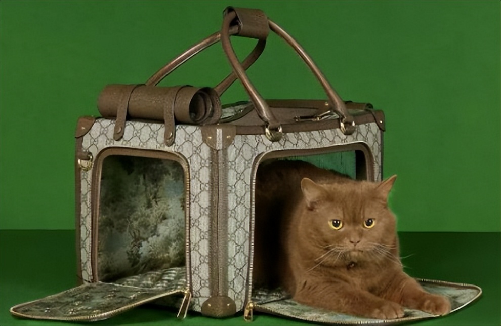 Gucci宠物单品曝光,捡屎包亮了