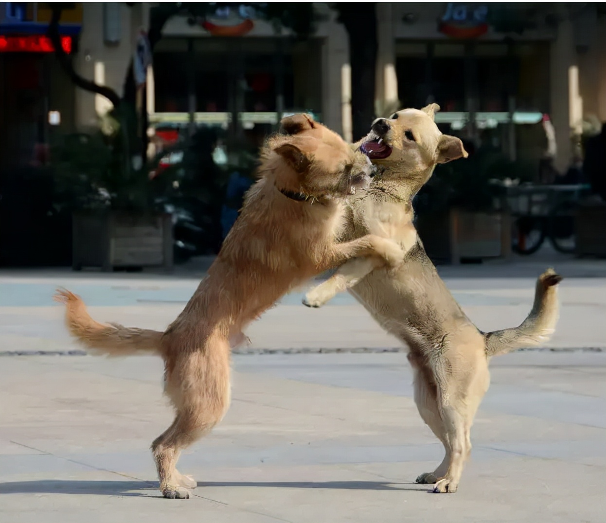 于谦白慧明烫头,白慧明和于谦图片