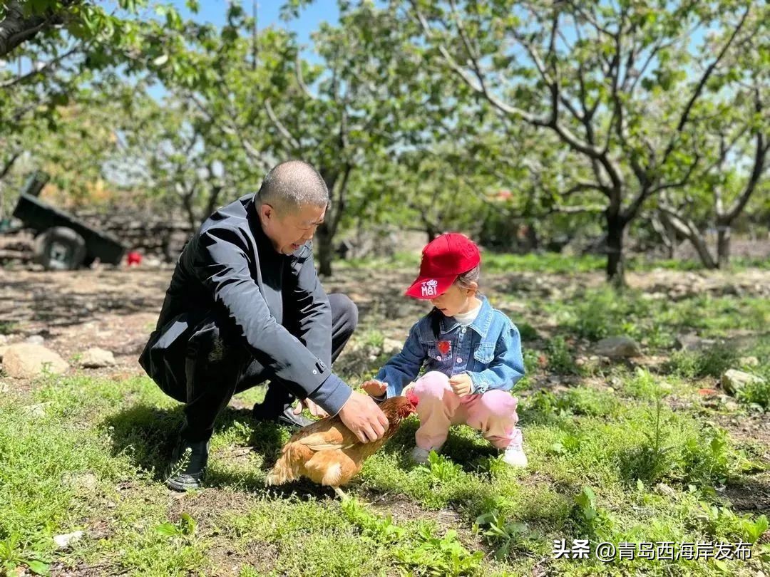现实版小森林，这些藏在西海岸周边的乡野太治愈