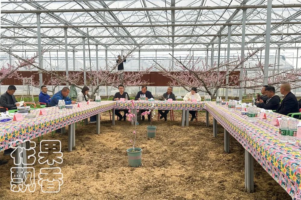 一个葡萄新品种，独家经营，先交3000元一亩的保护费，你干不干？