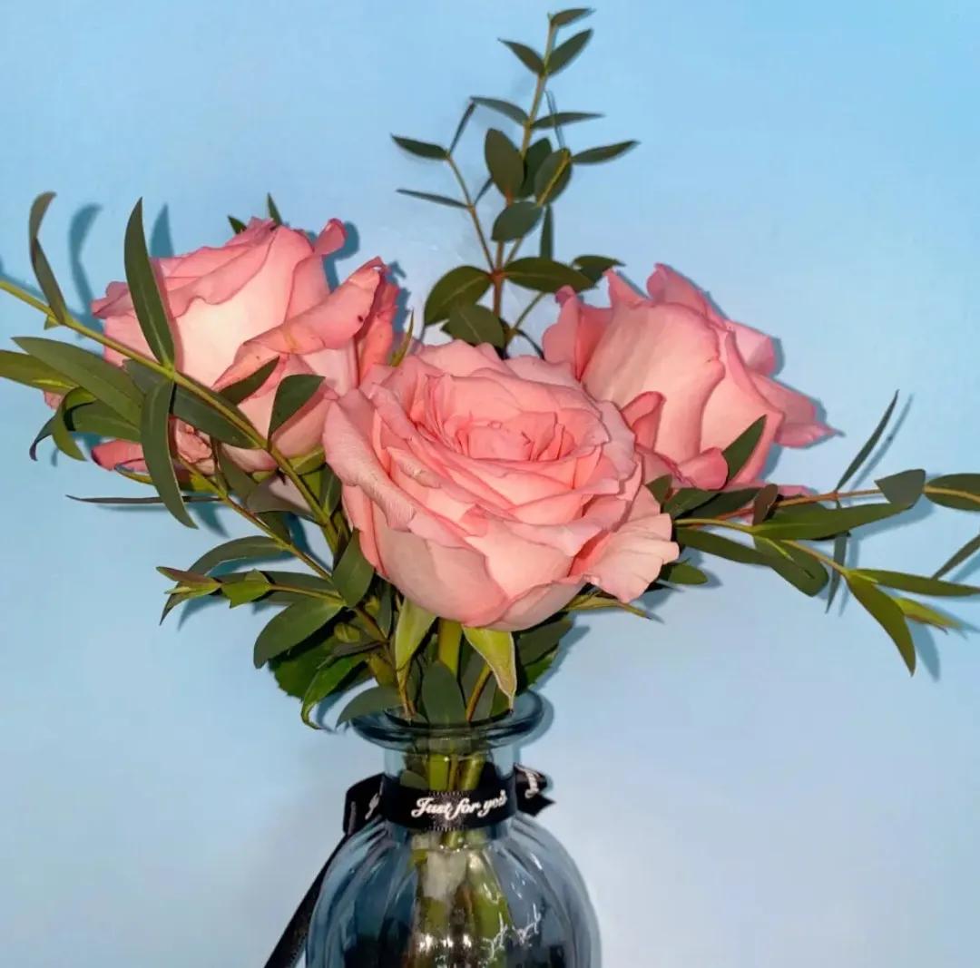 赠人玫瑰手有余香英文,赠人玫瑰手有余香下一句