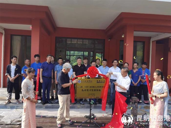 云南读大专的学校有哪些,云南读大专哪个学校好