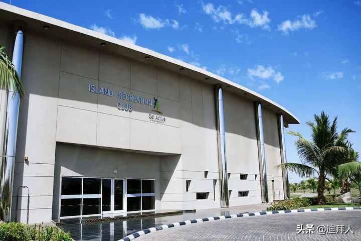 沙特最好的大学是哪个,沙特有哪些大学