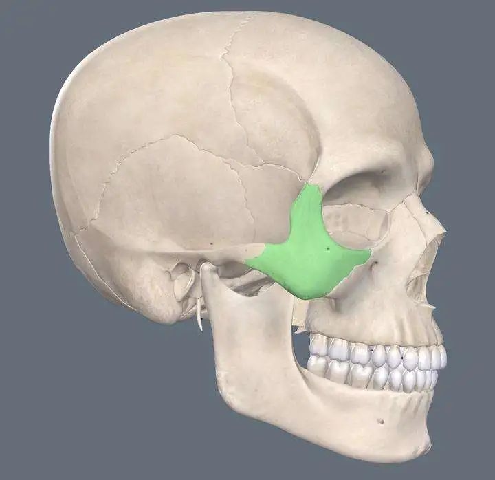 颧骨突出但不外扩面相,颧骨突出外扩男生怎么改善