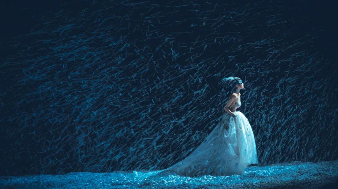 杨丽萍经典舞剧孔雀再飨津门,一生必看一次杨丽萍《孔雀》