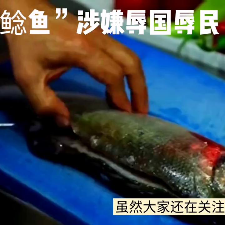 鲶鱼事件的看法,鲶鱼事件怎么处理