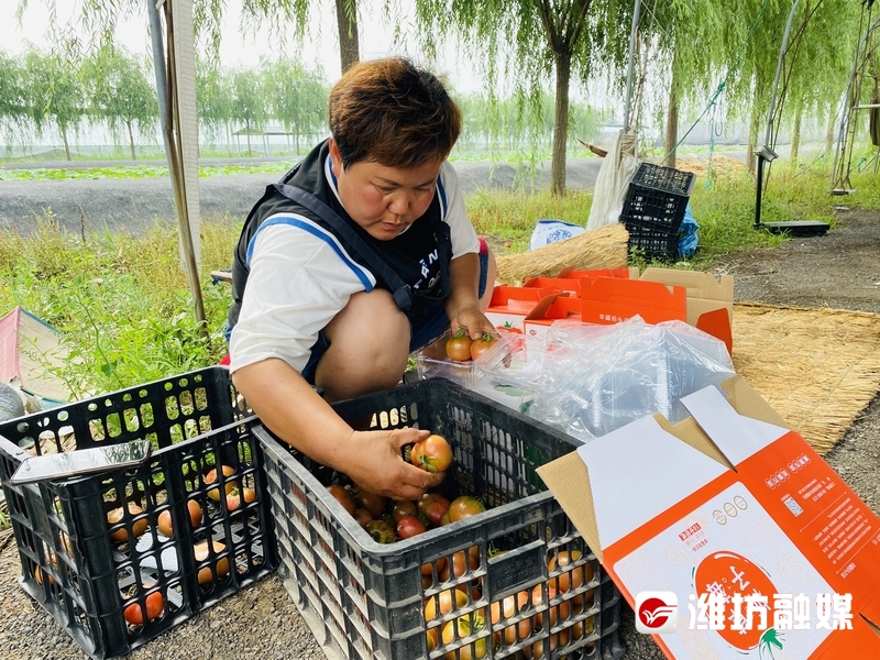 潍坊农业转型升级,潍坊田园农业发展