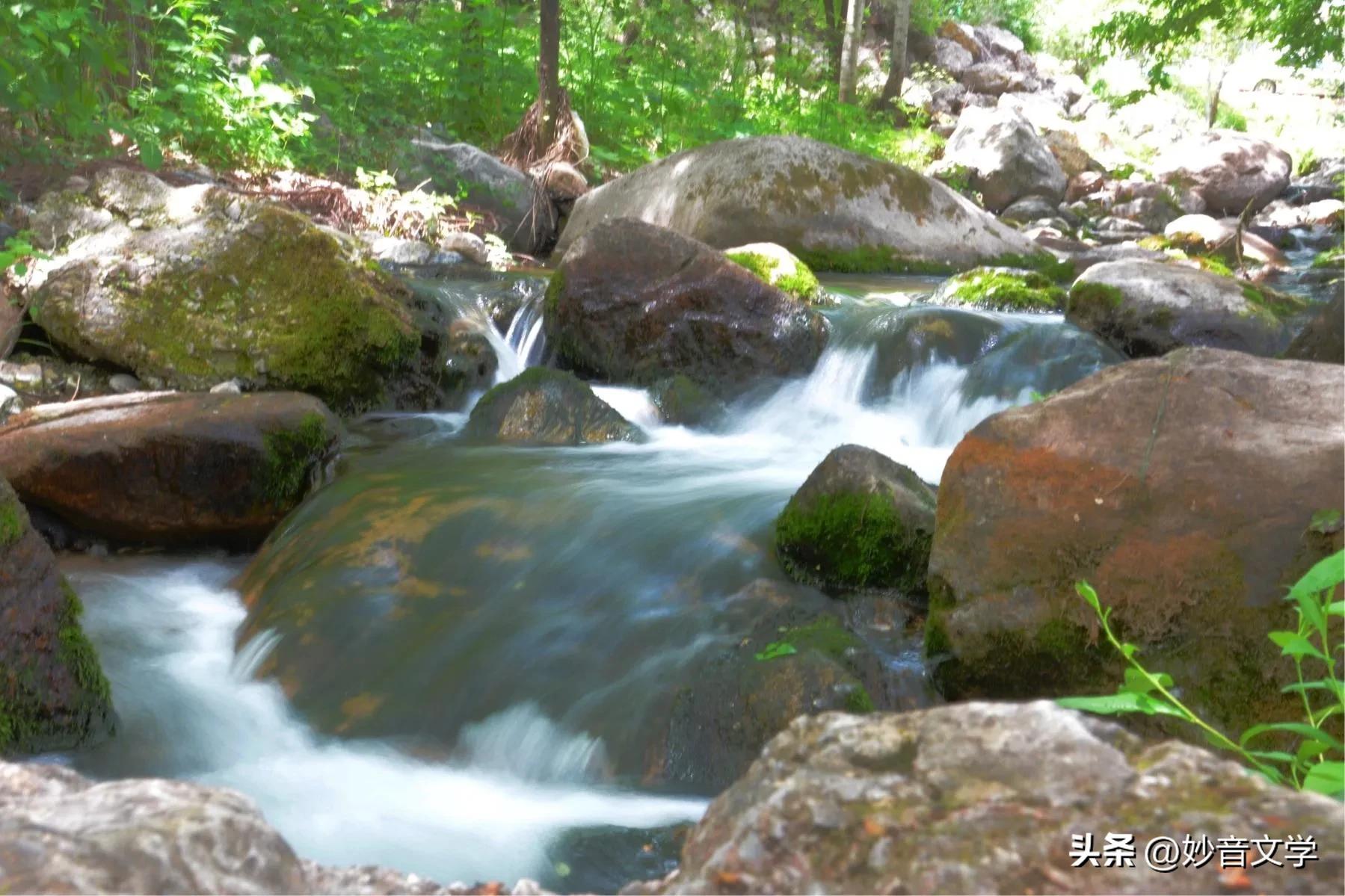 咏竹组诗词五首(外五首)●作者:谢云峰(江西)