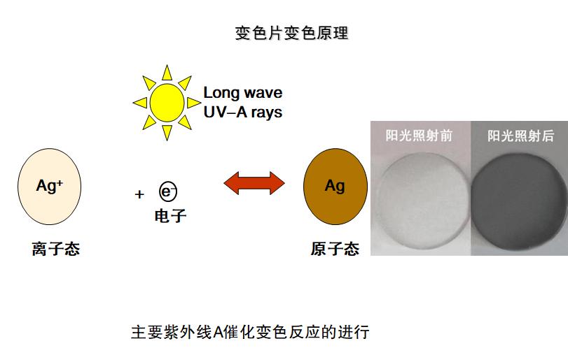 镜片的认识和功能,镜片基础知识题库