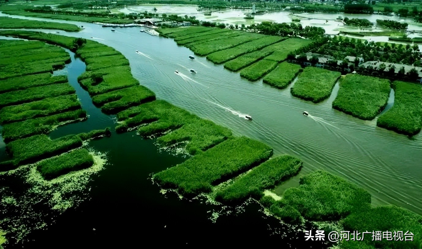 今日的白洋淀视频,现在白洋淀的情况