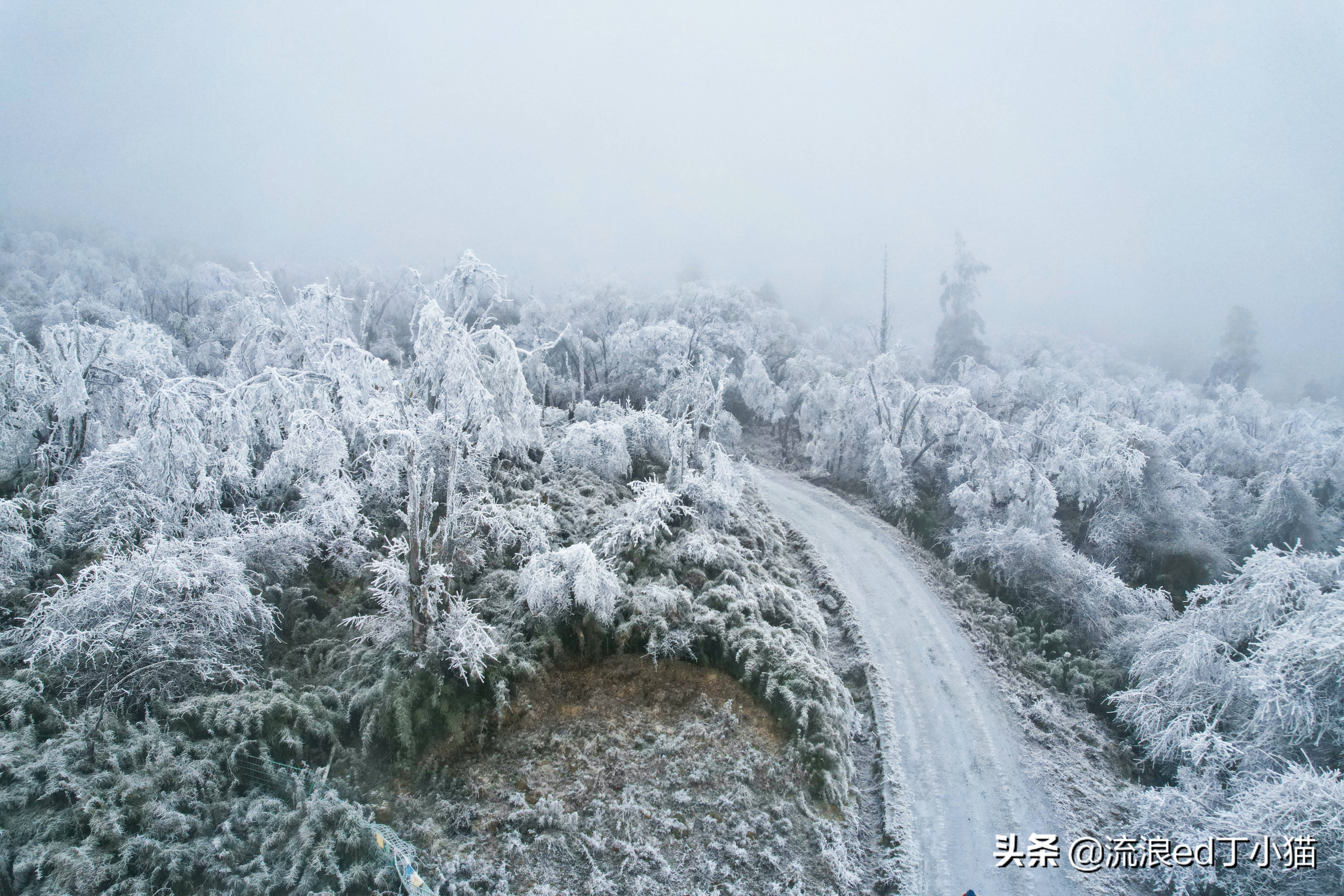 四川能玩滑雪的雪山,王岗坪贡嘎滑雪场
