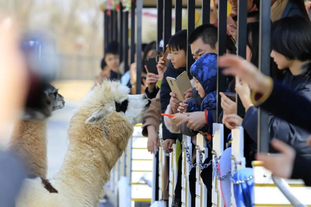 暖冬旅游路线推荐,冬日暖阳旅行攻略