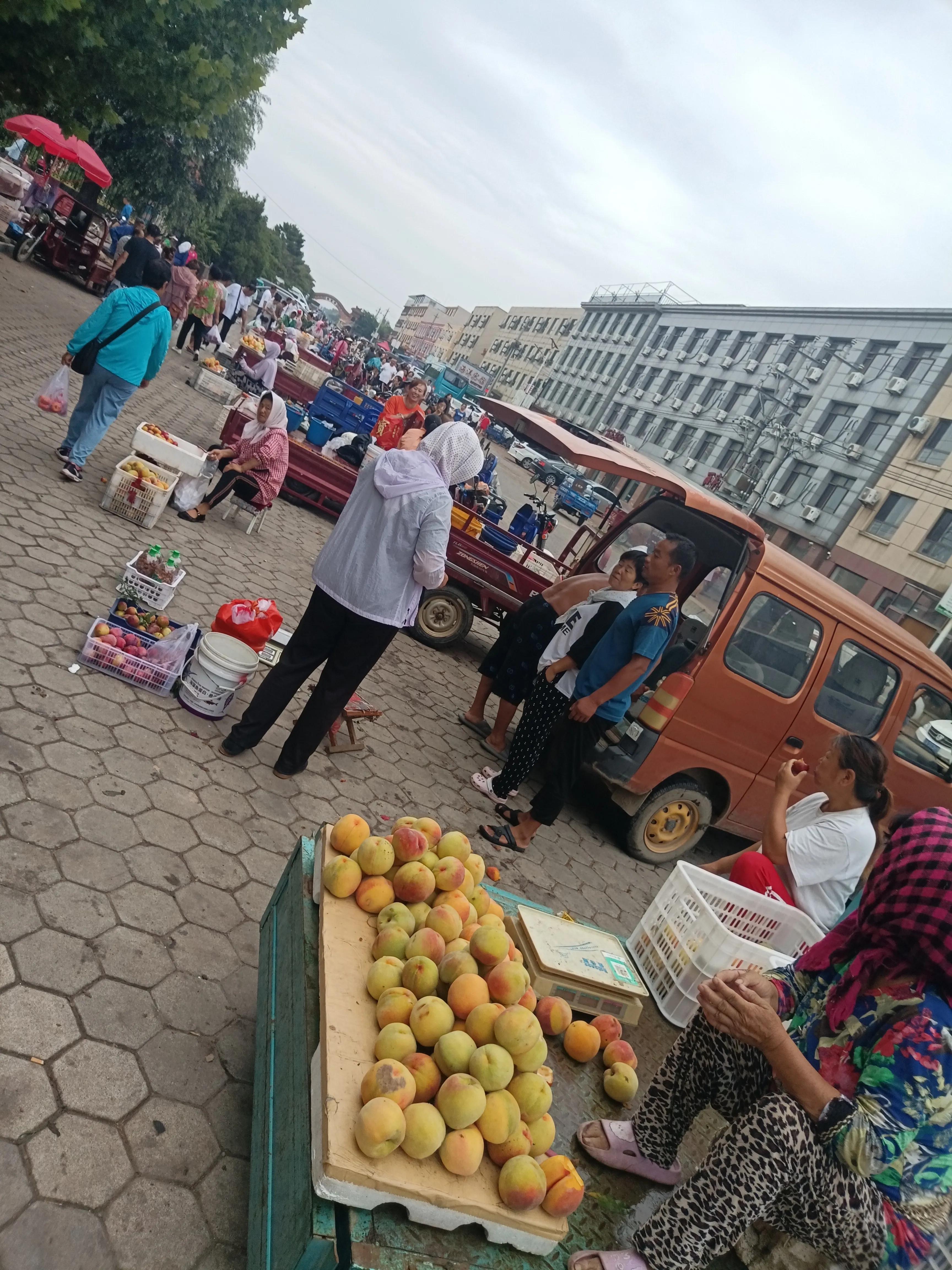 知行合一，简单的美好，仙浴湾、西中岛、金普新区行记