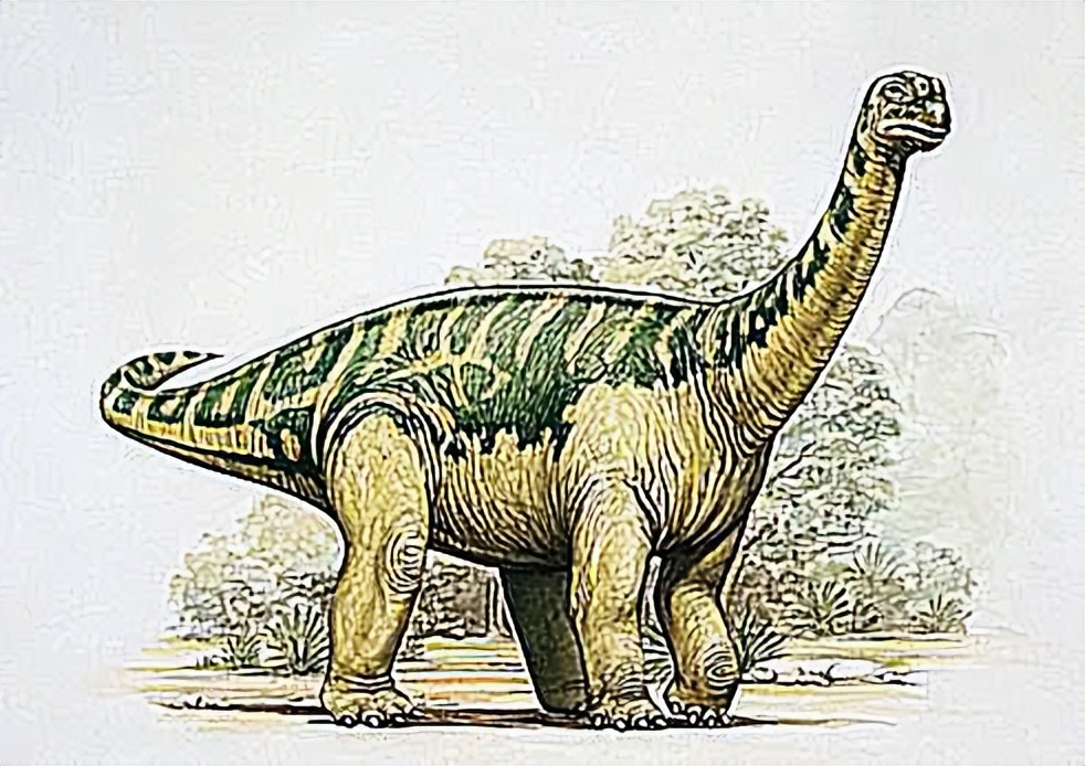 泰坦巨龙图片从哪来的,泰坦巨龙恐龙图片和简介