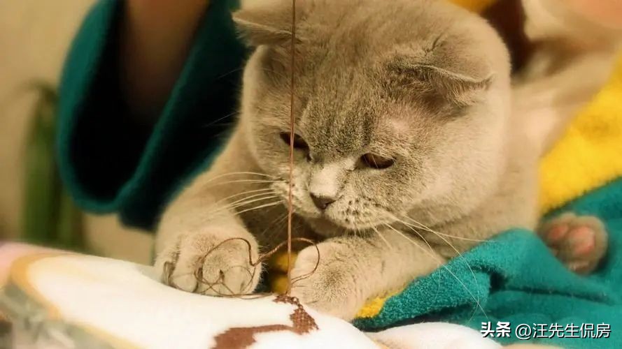 工行存量房降利率最新消息,蒙城工行存量房降利率最新消息