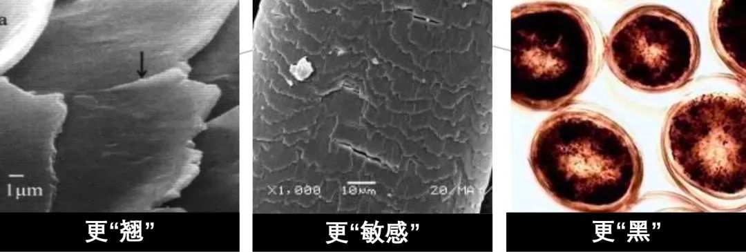 欧莱雅护发系列怎么样,欧莱雅护发系列
