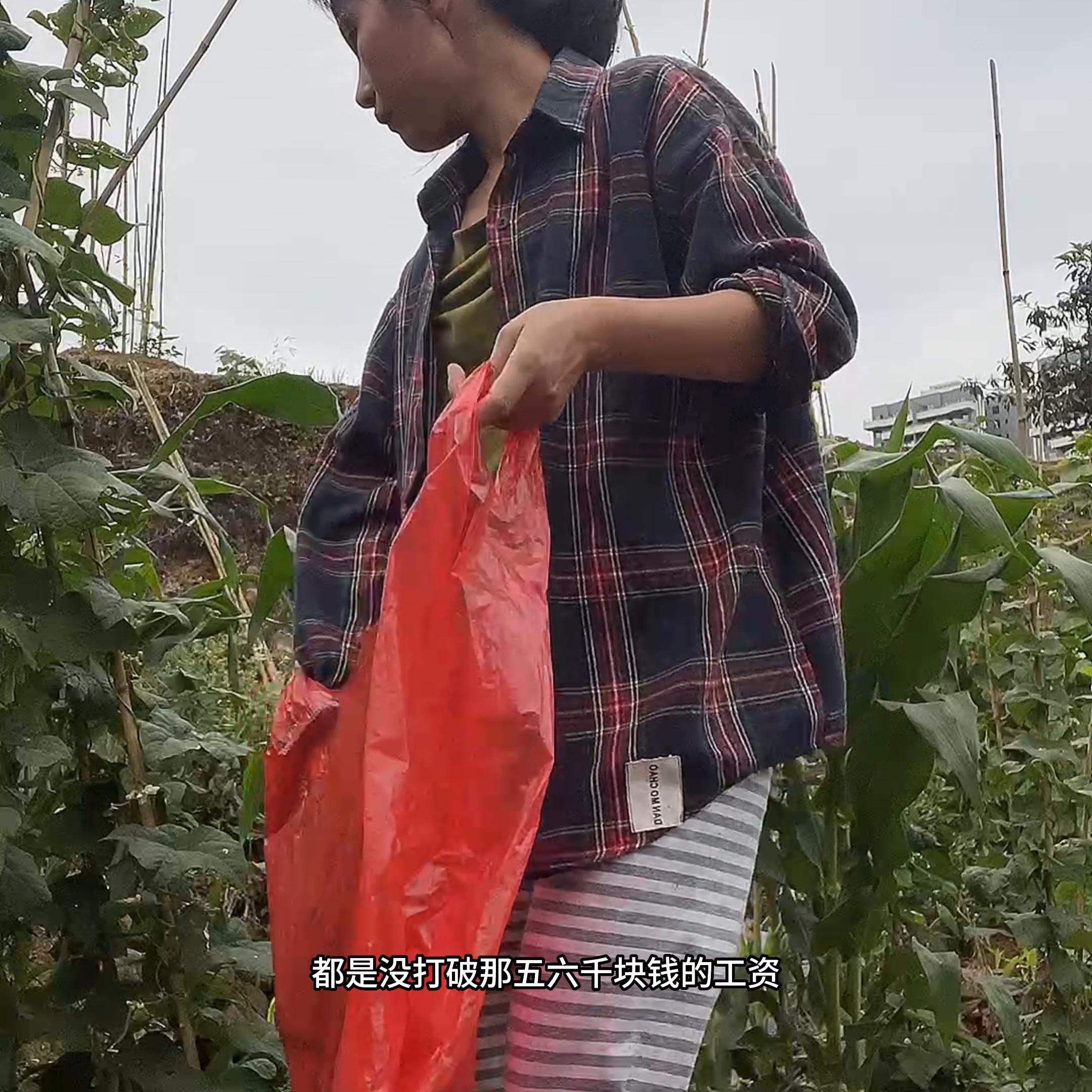 30岁女设计师辞掉高薪工作,女孩在设计师家当保姆